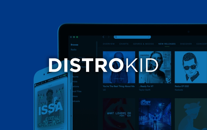 Distrokid Review: Is This Cheap Music Distributor Right for You?