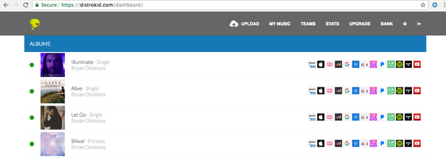 distrokid stuck on yellow
