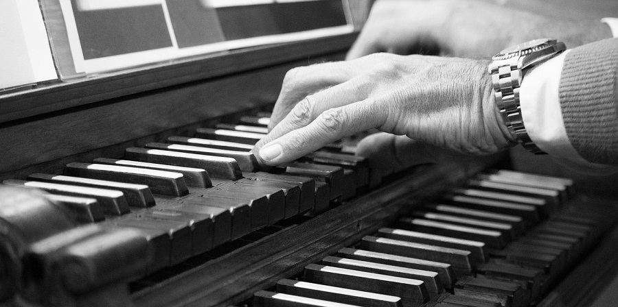 types-of-organs-music