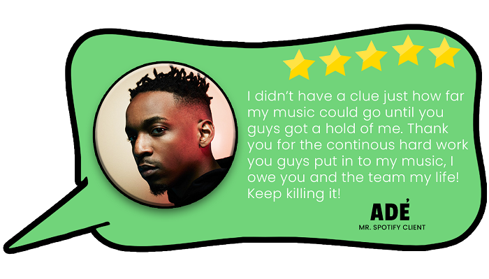 organic spotify promotion