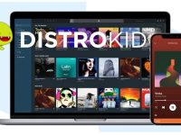 How Much Does Distrokid Pay per Stream? (Less Than You Think)