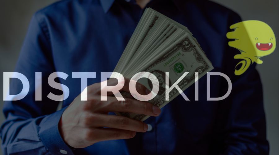 is-distrokid-worth-money