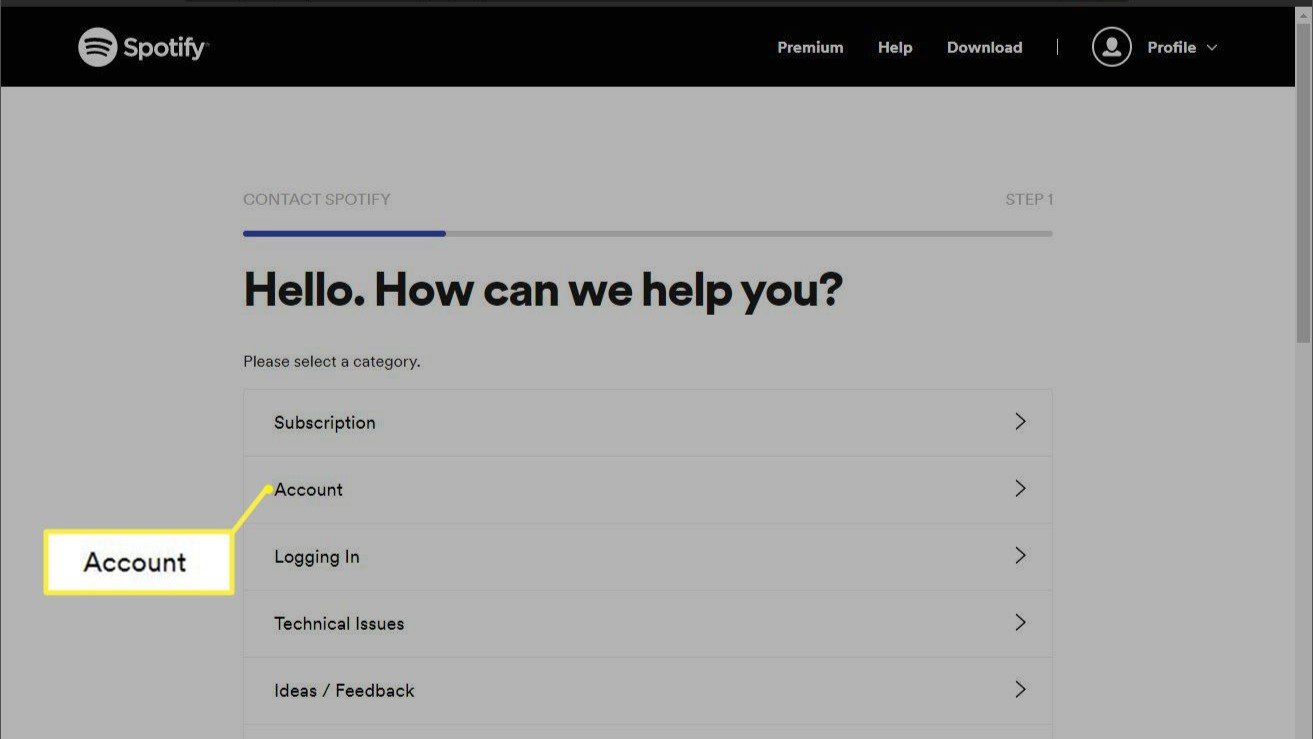 how submit metadata update spotify