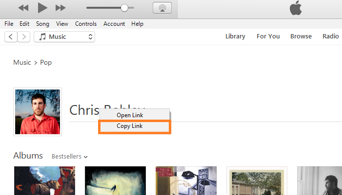 itunes for ARTISTS