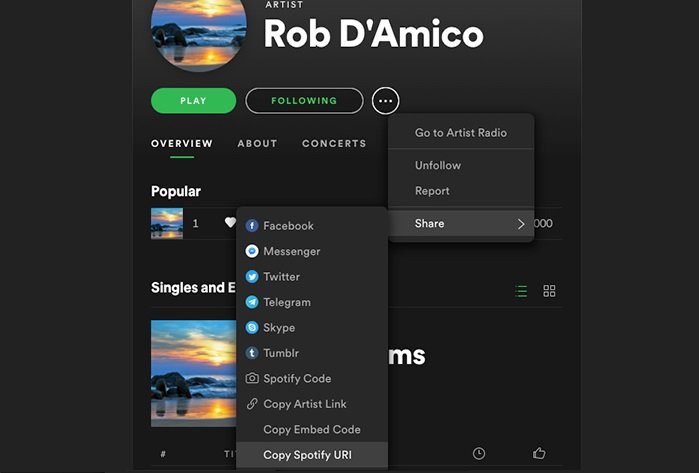 spotify id NUMBER