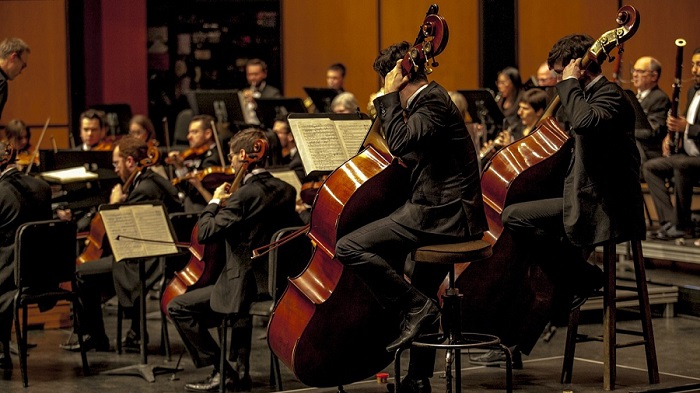 how many instruments orchestra